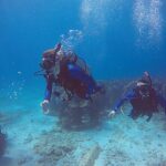 3 Days Class: SDI Open Water Diver Certification in Cancun - The Value of the Package