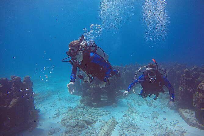 3 Days Class: SDI Open Water Diver Certification in Cancun - The Value of the Package