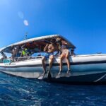 3 Hour Big Island Dolphin Watch Boat Tour, Snorkeling & BBQ Lunch - What to Expect on Your Big Island Dolphin Watch Tour