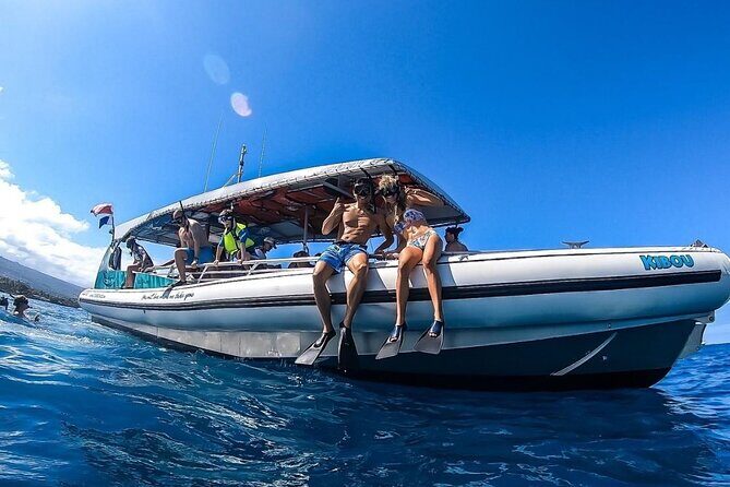 3 Hour Big Island Dolphin Watch Boat Tour, Snorkeling & BBQ Lunch - What to Expect on Your Big Island Dolphin Watch Tour