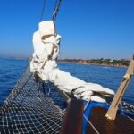 3 Hour Cruise Experience from Vilamoura - Who Is This Cruise Best For?