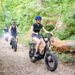 3-Hour E-Bike Sightseeing and Breweries Tour in Roanoke - Wrapping Up: Who Will Love This Tour?