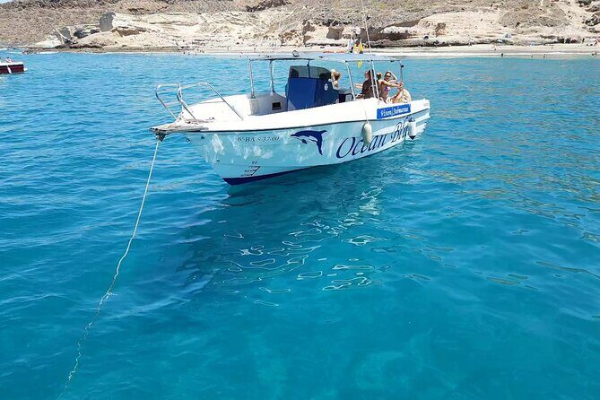 3-hour excursion to Puerto Colón Adeje to see whales - Practical Details for Your Trip