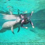 3 Hour Guided Manatee Snorkel - To sum it up: who should consider this tour?