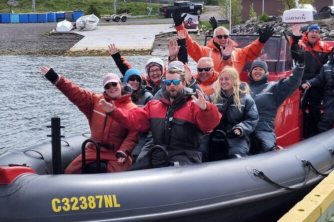 3 Hour Ocean Safari by Zodiac Boat -Whales & Icebergs seasonally - The Wildlife and Geological Highlights