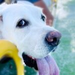 3 Hour Private Boat Charter on Lake Travis for up to 12 People - FAQs