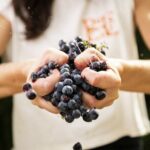 3-Hour Private Food and Wine Experience in Montalcino - Why This Tour Works Well