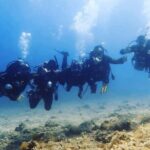 3 Hour Private Scuba Diving Experience - What’s Included and What’s Not