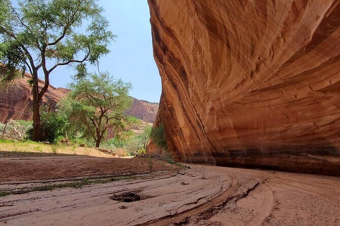 3 hour Private Tour in Chinle - The Guides: Connecting You to Navajo Culture