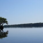 3 Hour Small Group Lake Norris Kayak Activity - Who Will Love This Tour?