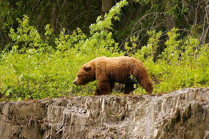 3-hour Turnagain Pass Rafting Float Trip from Hope Alaska - The Details That Matter