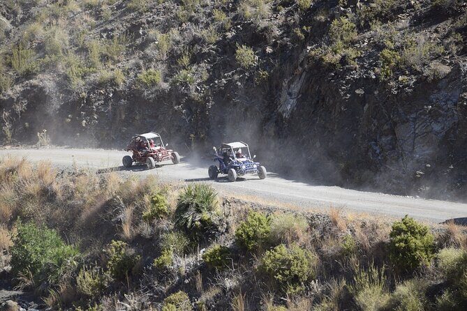 3 Hours Guided Buggy Safari Adventure in the Mountains of Mijas - Analyzing the Value