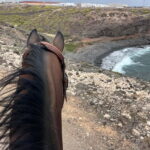 3 hours Horse Riding Tour to the Coast - The Ride’s Challenges and Rewards