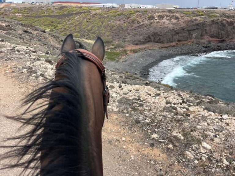 3 hours Horse Riding Tour to the Coast - The Ride’s Challenges and Rewards