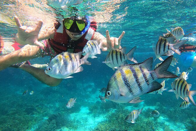 3 Hours VIP Semiprivate Tour Isla Mujeres Full Snorkeling Experience - The Practicalities