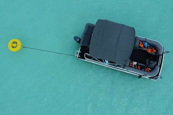 3 hr Pontoon Tour with access to Beach Club and Free Kayaks - Why This Tour Is a Solid Choice