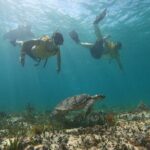 3 in 1 Catamaran Tour to Isla Mujeres from Cancun All Inclusive - The Beach and Isla Mujeres