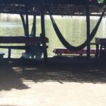 3 Palos Lagoon AfroMex Village Turtle Release & Croc Farm Visit - Who Will Love This Tour?