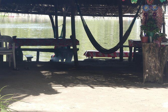 3 Palos Lagoon AfroMex Village Turtle Release & Croc Farm Visit - Who Will Love This Tour?