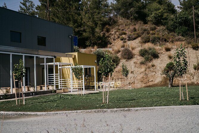 30-Minute Guided Honey Tasting Activity in Melini - What Do Visitors Say?