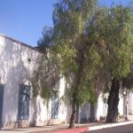 300 Years of Spanish History in Downtown Tucson: A Self-Guided Audio Tour - Who Will Appreciate This Tour?