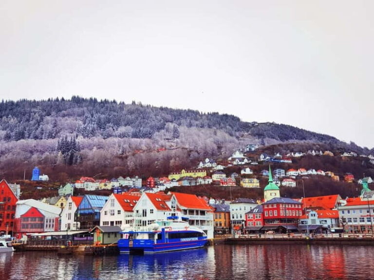 3days Bergen-Hardanger-Flåm-næroyfjord-Oslo(or Preikstolen) - Who Should Consider This Tour?