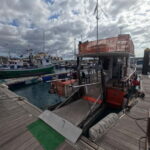 3H Shared Barrier-Free Cruise with Turtles Dolphins & Whales - The Itinerary and Highlights