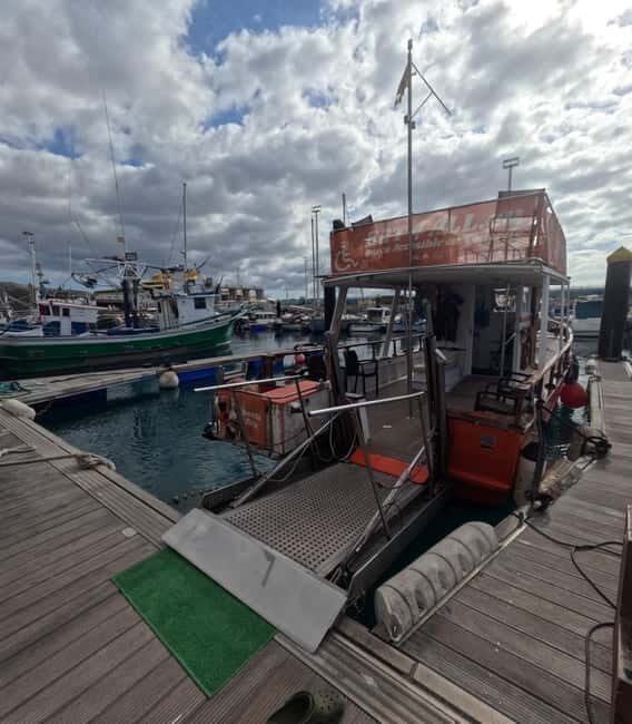 3H Shared Barrier-Free Cruise with Turtles Dolphins & Whales - The Itinerary and Highlights