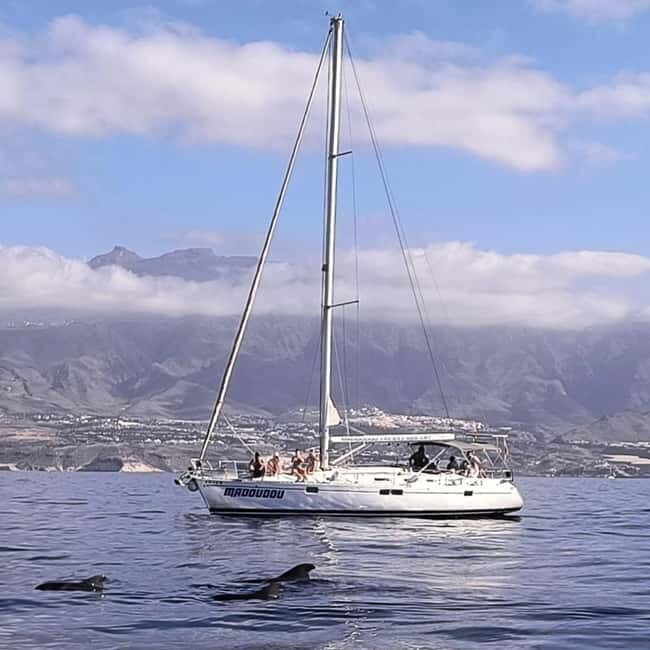 3h Whale Watching Share Tour Beneteau Oceanis 440 - Setting the Scene: What You Can Expect