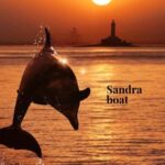 3hours Dolphin Sunset watching with unlimited drinks +dinner - The Experience Breakdown