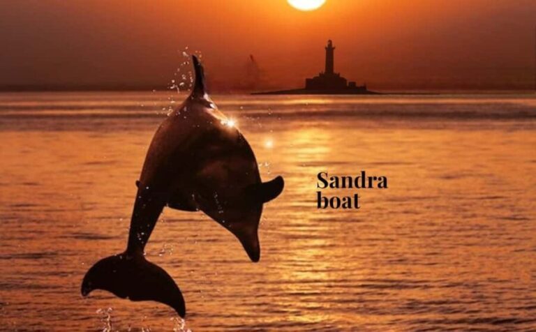 3hours Dolphin Sunset watching with unlimited drinks +dinner - The Experience Breakdown
