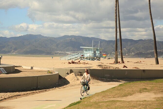 4.5 Hour Venice Beach Open Air Van Tour - Who Should Consider This Tour?