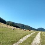 4-Hour Private Alpine Hiking Tour 'Matterhorn of the Prealps' - Setting Off on the Mountain Adventure