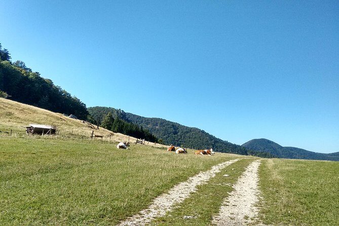 4-Hour Private Alpine Hiking Tour 'Matterhorn of the Prealps' - Setting Off on the Mountain Adventure