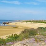 4-Hour Private Boat Tour in Ria Formosa - Final Thoughts