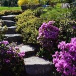 4 Hour Private Tour: Explore Acadia Nat'l Park, Fjord & Mansions - Why Travelers Love This Tour