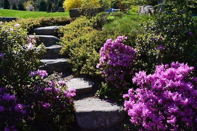 4 Hour Private Tour: Explore Acadia Nat'l Park, Fjord & Mansions - Why Travelers Love This Tour