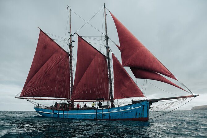 4-hour sightseeing onboard Iconic Faroese Sailing Ship - What to Expect During the 4-Hour Sailing Trip