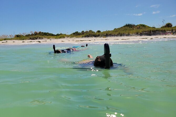 4-Hour St. Pete Pier to Egmont Key Experience by Ferry - The Real Value of the Tour