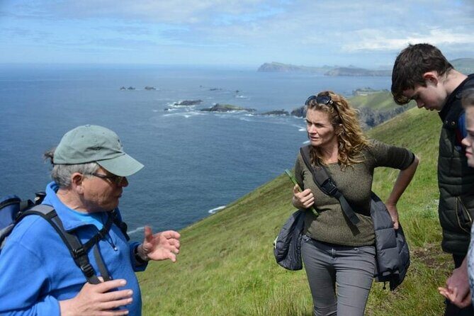 4 Hours Dingle Peninsula Private Tour - Value and Pricing: Is It Worth It?