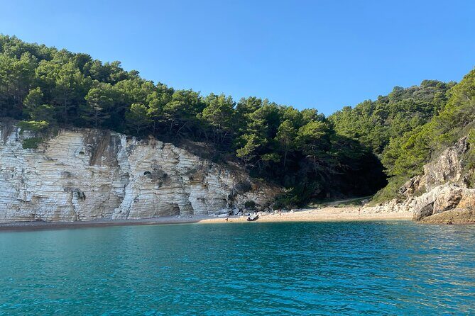 4 Hours Private Guided Boat Tour in Vieste - What the Reviews Tell Us