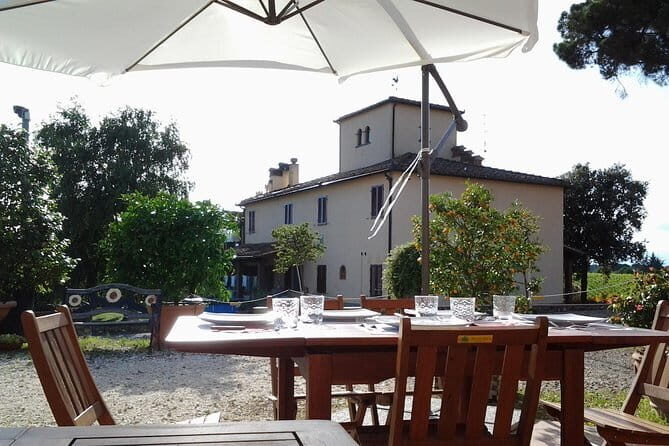 4 Wines & 2 Olive Oils Tasting in Chianti Winery with Tour - The Experience in Detail