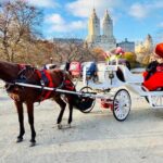 45 Minute VIP Central Park Carriage Ride - Is It Worth the Price?