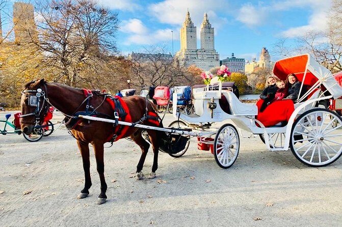 45 Minute VIP Central Park Carriage Ride - Is It Worth the Price?