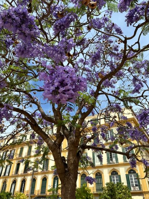 45 minutes flamenco dance class for family in Málaga - What to Expect During the Class