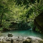 4D Batumi Essence Tour with guide - Who Would This Tour Suit?