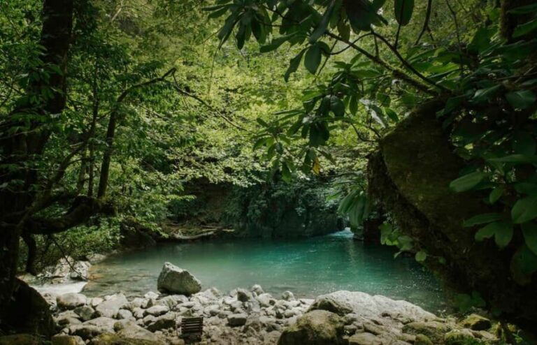 4D Batumi Essence Tour with guide - Who Would This Tour Suit?