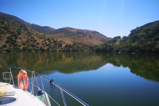 4H Private Boat Trip on the Douro River - Feel the Nature - An In-Depth Look at the Tour