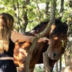 4x4 Biokovo Tour: Skywalk (1228m) & St. George (1762m) - A Closer Look at the Tour Experience