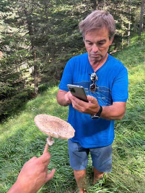 4×4 tour of the Aran Valley - Wildlife, flora and alpine landscapes - The Itinerary: What Can You Expect?